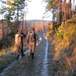 Wanderungen
